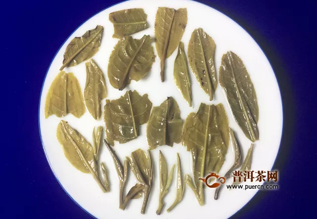 2019年七彩云南春古茶·邦崴生茶：邦兴立茗 草木知威