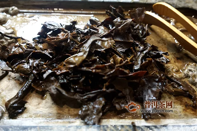 2019年本木古茶業(yè)古小白美人茶：美人如茶，茶如斯人