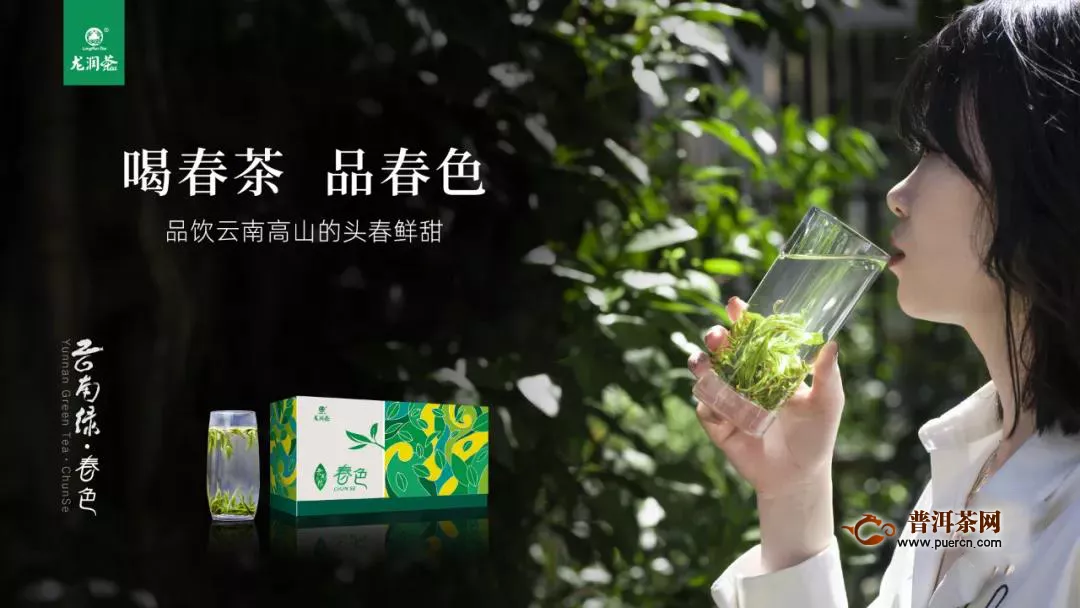 品饮龙润茶2020年早春一级云南绿茶