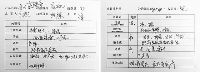 書院熟茶千堆第64期：臨滄王者，大氣昔歸！以“完美”征服你的味蕾。昔歸第四次發(fā)酵品鑒