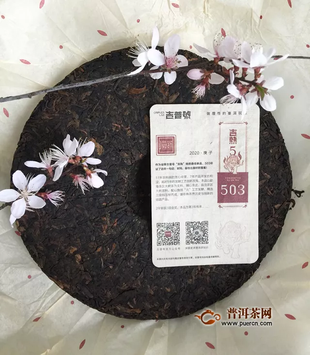 2020吉普號(hào)503熟茶：擁有你，就像擁有明媚的春天