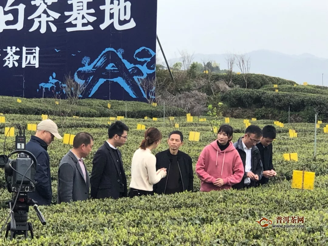 省农业农村厅推广研究员一行调研指导福鼎现代茶叶产业技术体系工作