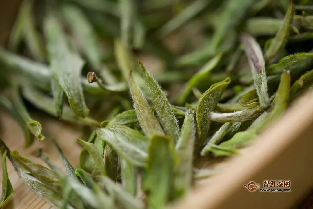 如何专业品评绿茶？看完这份品鉴术语就懂了