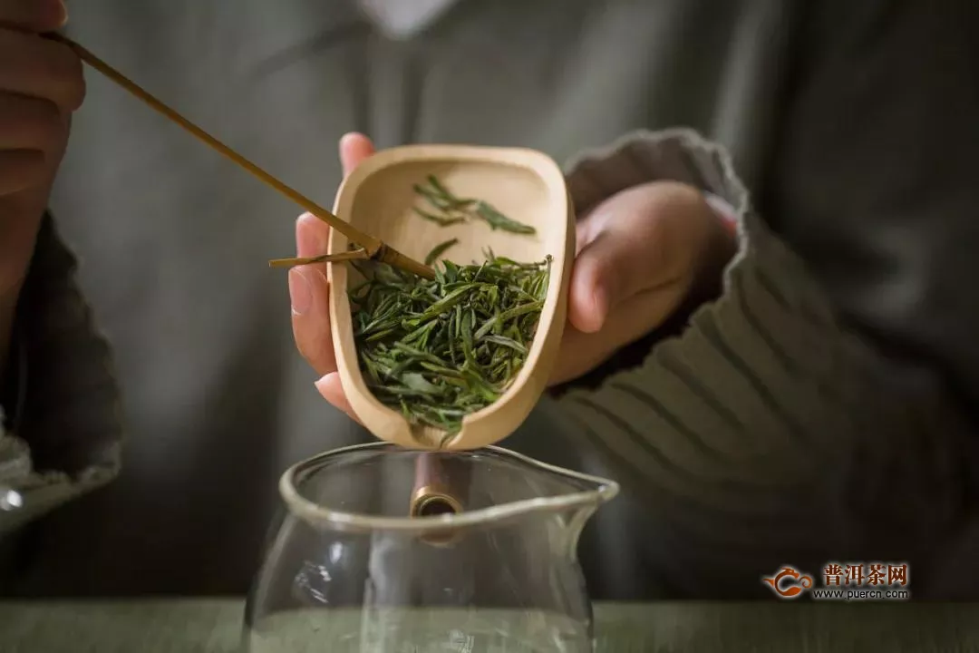 如何专业品评绿茶？看完这份品鉴术语就懂了