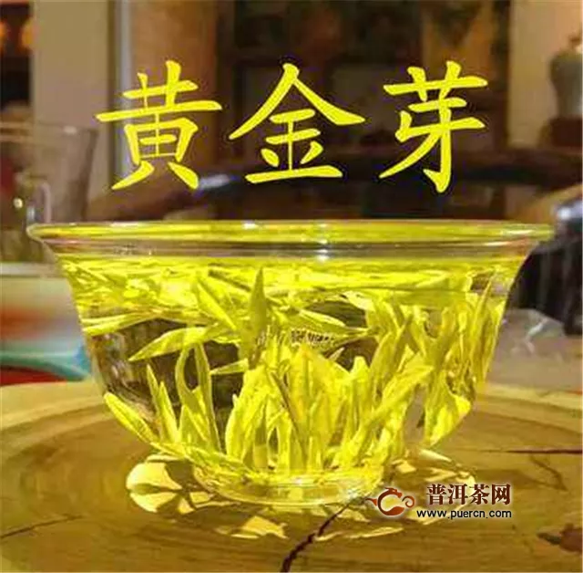 黄金芽属于红茶吗