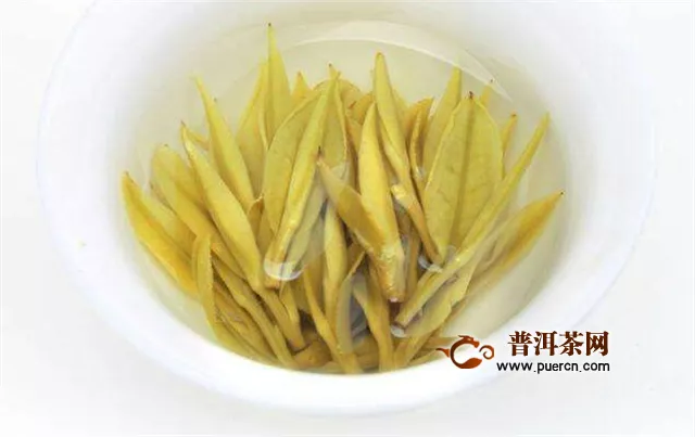 黄金芽属于红茶还是绿茶