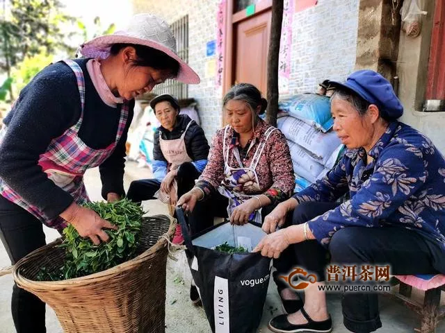 宣威戈特村“黃金葉”