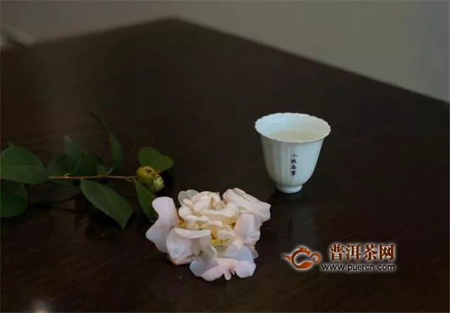 從古茶樹(shù)，到荒野茶樹(shù)，浮躁的茶圈呼喚普世的價(jià)值觀