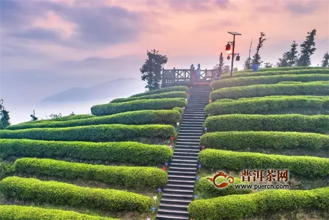 摄影师镜头下的中国茶园美得不像话