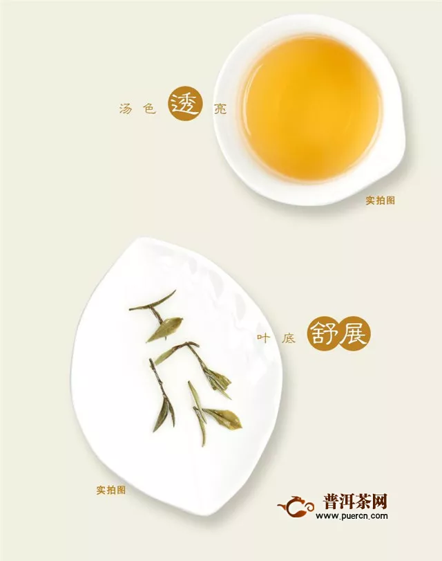 白茶是属于红茶吗