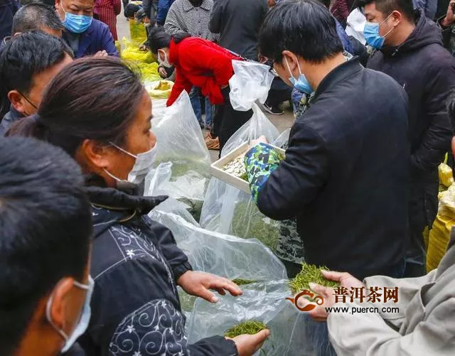 淳安：千岛湖明前茶交易红火