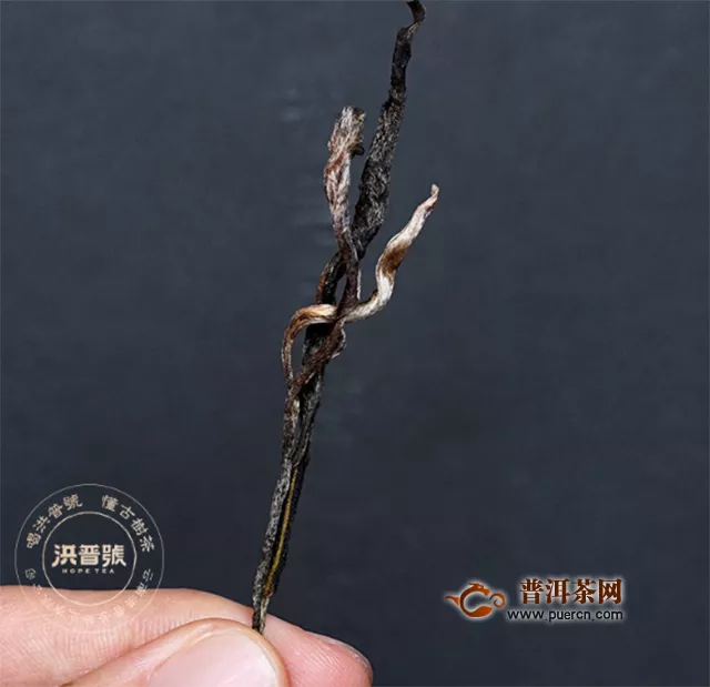 洪普號(hào)探秘系列33號(hào)茶園揭開面紗——蜂巢