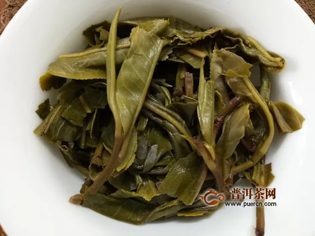 2019年洪普號蜂蜜琥珀生茶：突然心里想起一首歌