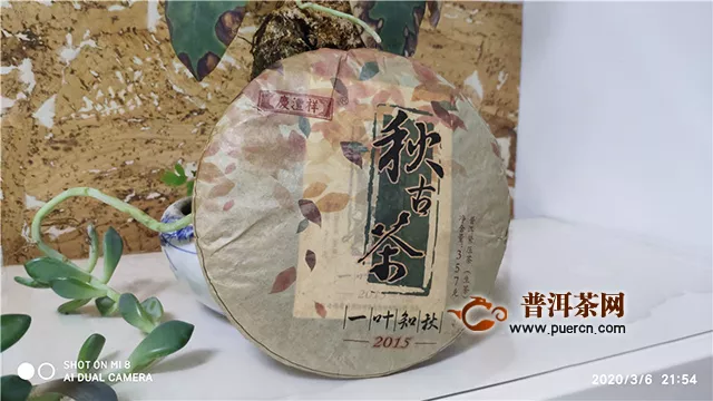 一叶知秋，尽显秋茶韵味：七彩云南秋古茶一叶知秋