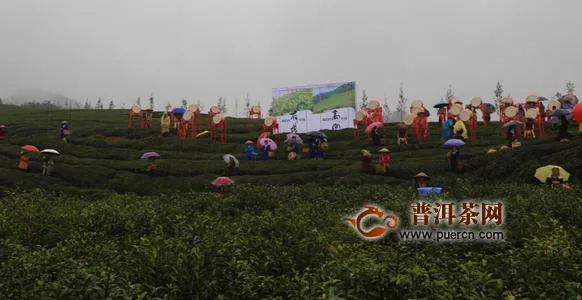 湖南去年实现茶叶综合产值910亿，2020中华茶祖节将于19日举行！