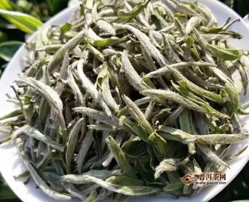  白牡丹散茶多少钱一斤