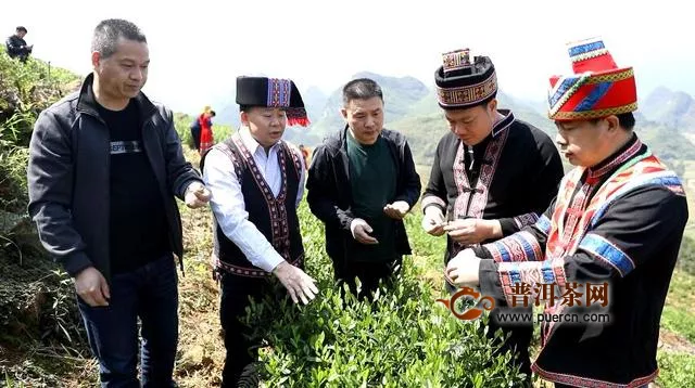 江华：黄志坚到大圩镇调研茶产业发展情况