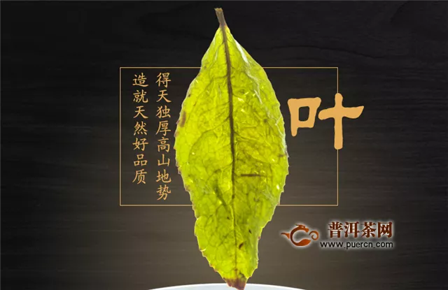 烏龍茶幾月份采摘