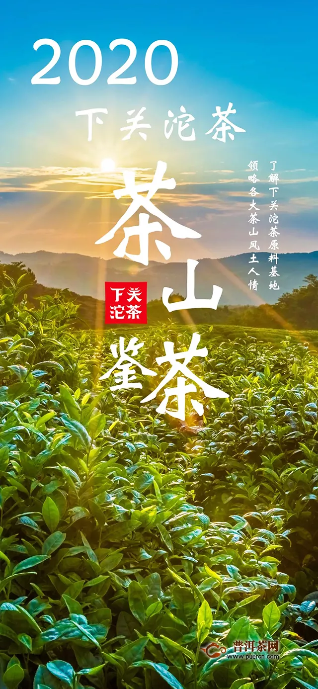 茶山鉴茶：下关沱茶今春选料中的三座茶山