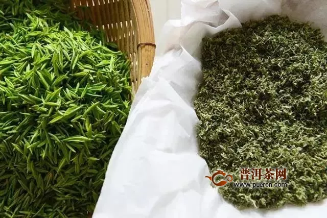 中国到底有多少种毛尖绿茶？