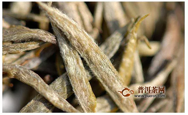 黃茶和烏龍茶外形等方面的區(qū)別