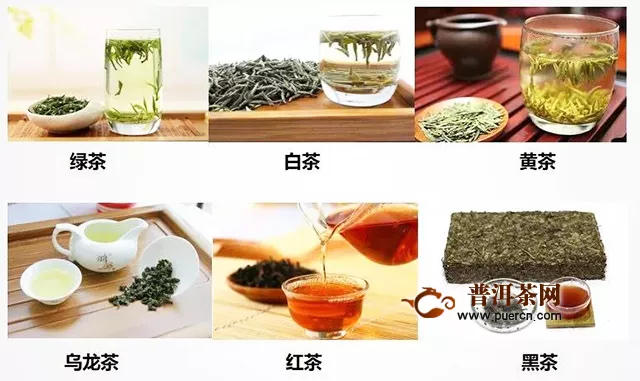 茶色絕色，茶葉色澤大揭秘