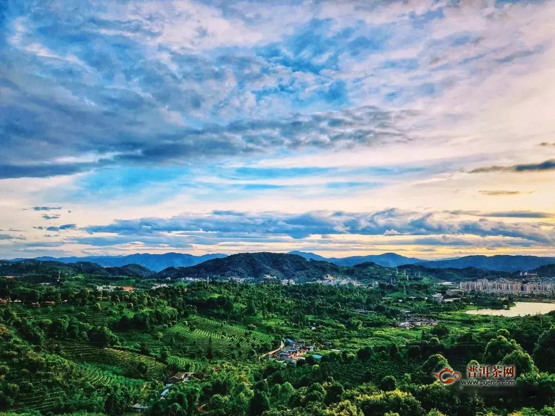 思茅有機(jī)茶綠色崛起之路