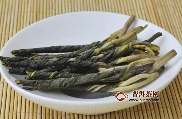 苦丁茶是什么茶