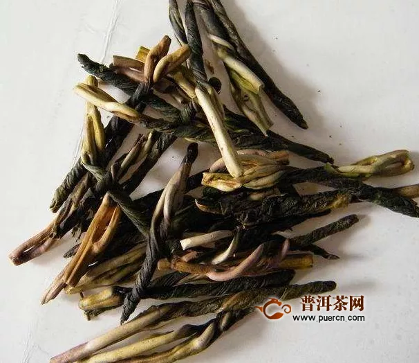 苦丁茶是什么茶