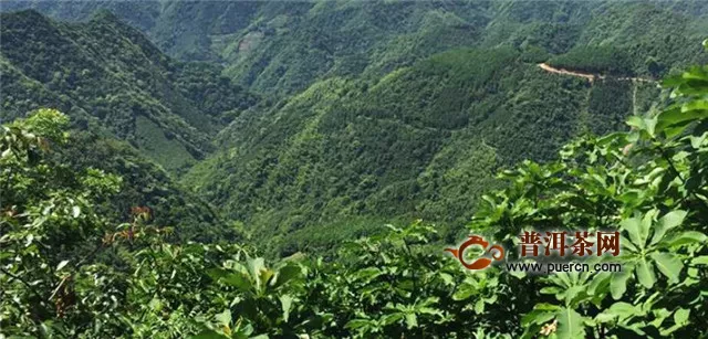 安化黑茶产地哪里？安化县茶产区生态环境介绍