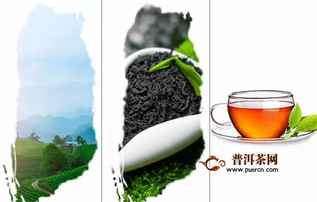 黑茶五大产区