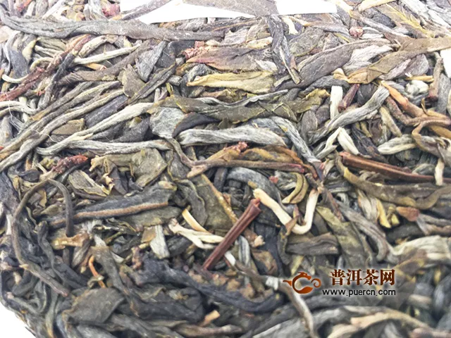 2019年洪普號(hào)舞蝶Ⅲ：從頭到尾香氣都很好