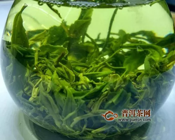 庐山云雾绿茶多少钱一斤