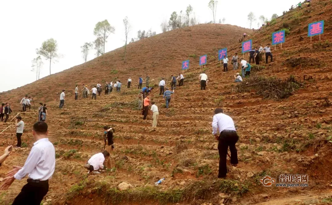 4月21日梧州市召开六堡茶产业高质量发展座谈会