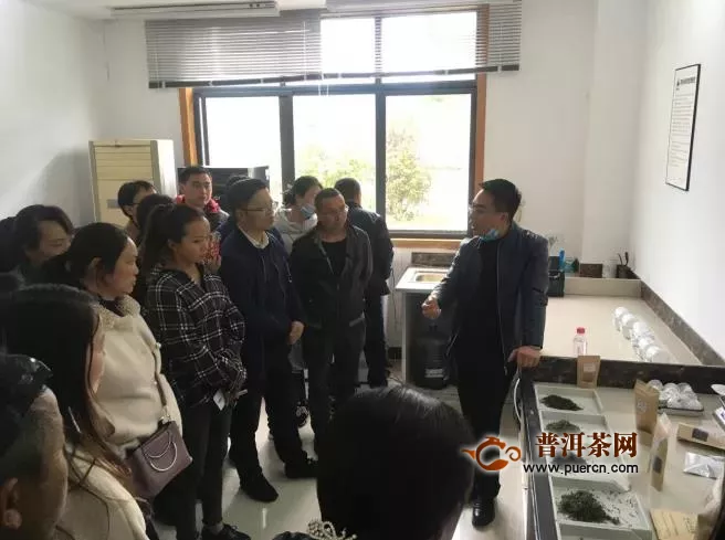 贵州省茶产业专家团队赴贵定开展茶产业服务工作