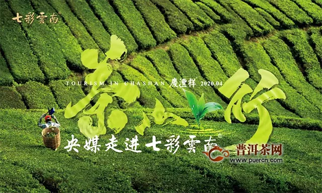 拥抱绿色家园 共筑健康中国：央媒走进七彩云南®茶山行活动顺利收官！