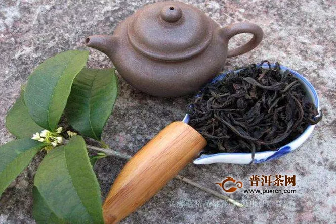 乌龙茶能瘦多少斤