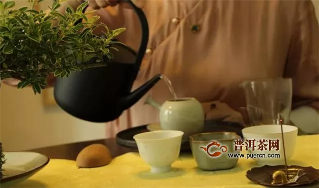铁观音春茶介绍，乌龙极品茶你值得拥有！