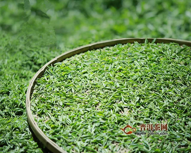 寿眉是什么茶品种？寿眉属于白茶品种