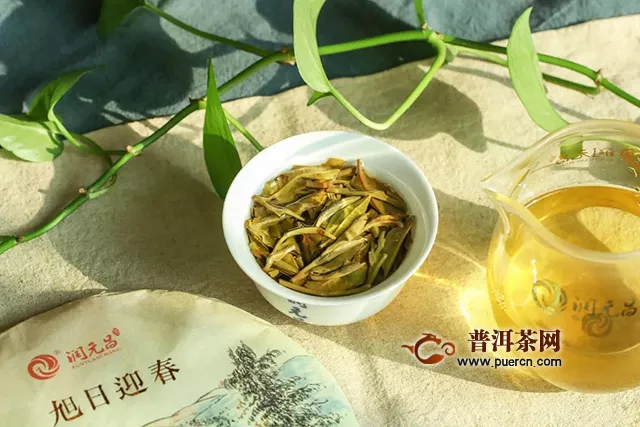 润元昌解惑茶铺：如何确保你买的是古树茶、大树茶，而不是台地茶？