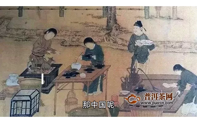 吉普号茶山黑话175：一棵树，改写中国茶的世界地位？