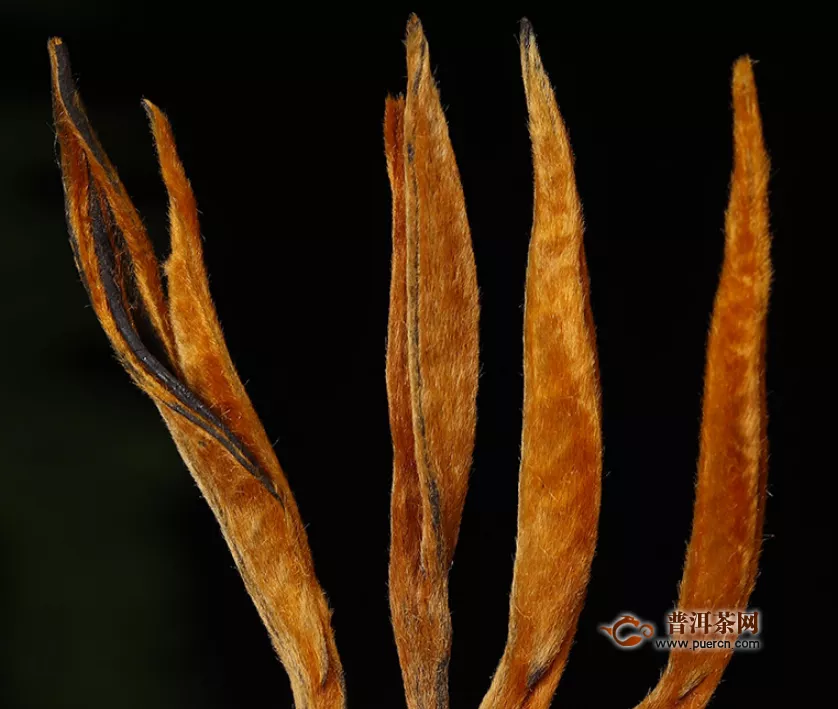  最好的滇红茶是什么品种