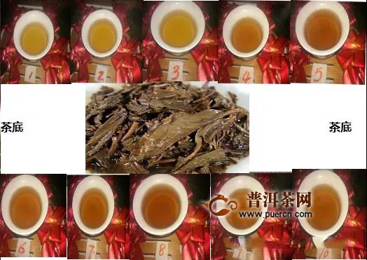 2008年双陈普洱易武正山生茶品鉴分享
