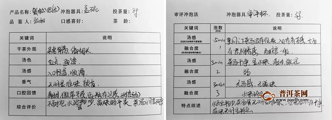 書院熟茶巴達賀松：千年野生茶王樹庇佑之地