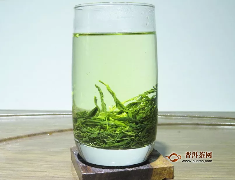 信阳毛尖有嫩茎是什么荼