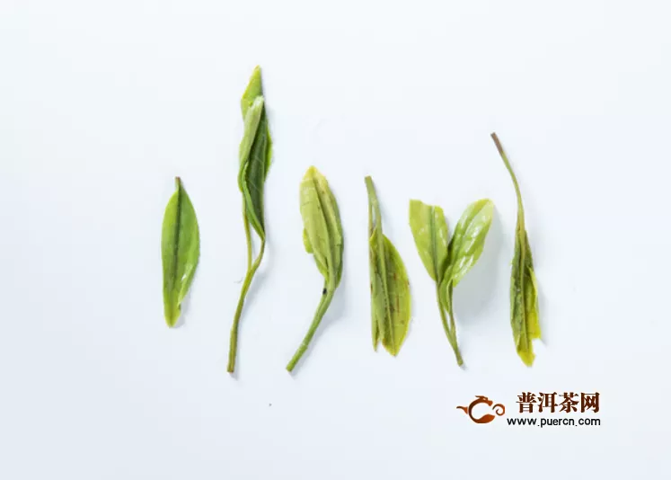 廬山云霧茶屬于什么茶