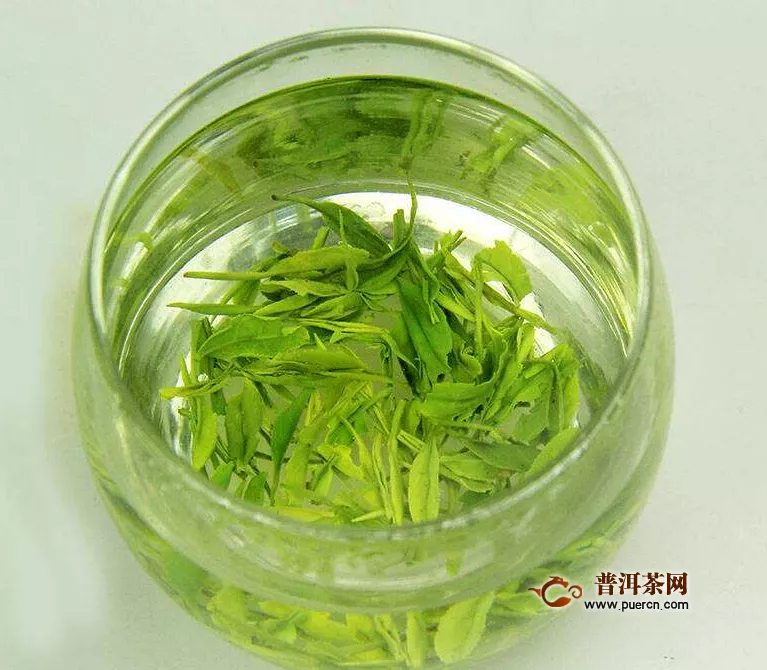 庐山云雾茶什么季节喝