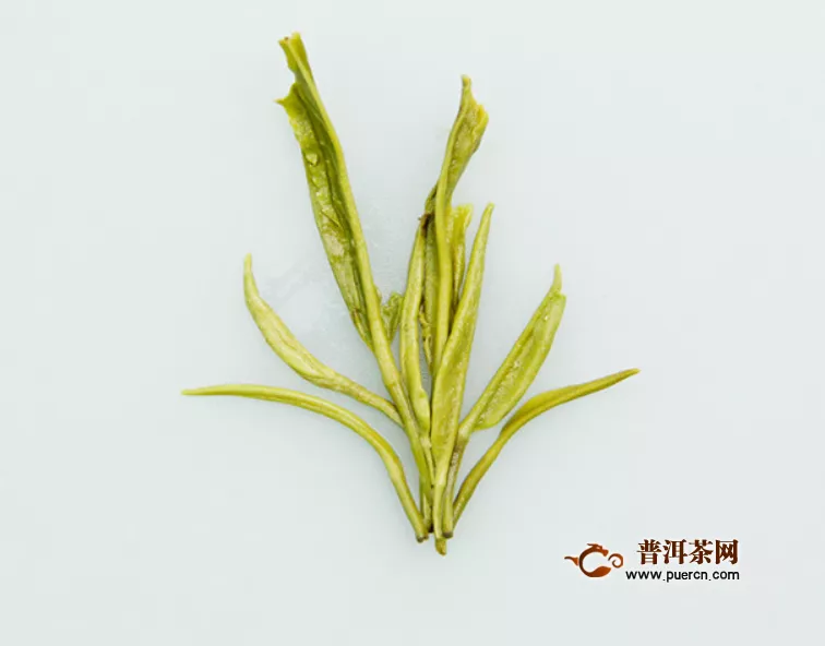 庐山云雾茶什么季节喝