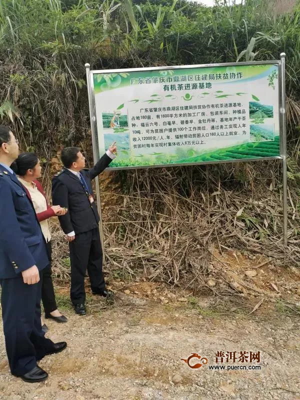 昭平县市场监管局深入有机茶基地检查指导