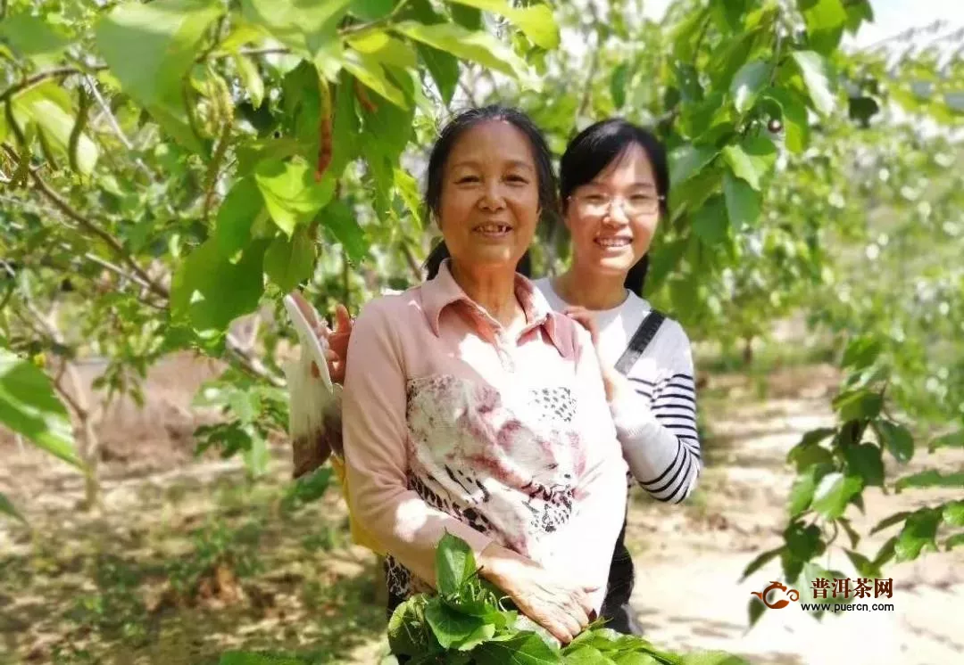 一球茶業(yè)：母親節(jié)，以愛之名，敬媽媽一杯好茶